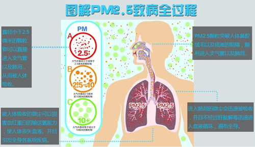 人体烟雾入侵图